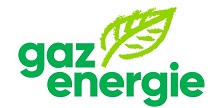 Verband der Schweiz Gasindustrie